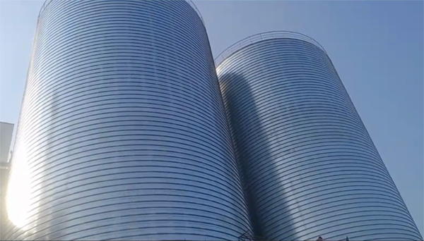 巨野2座混凝土高架卷板仓